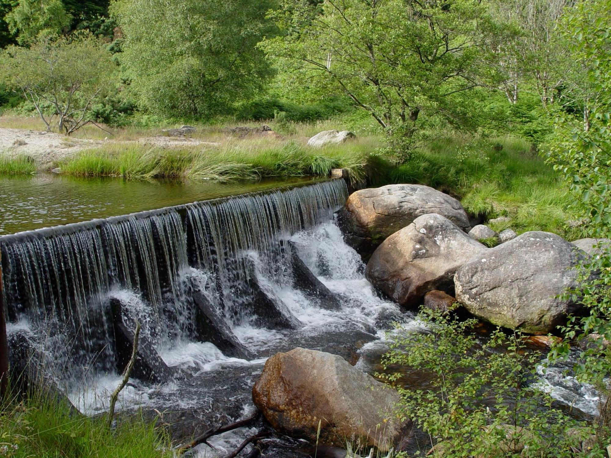 Glendalough International Youth Hostel Laragh Luaran gambar The river at the foot of the village