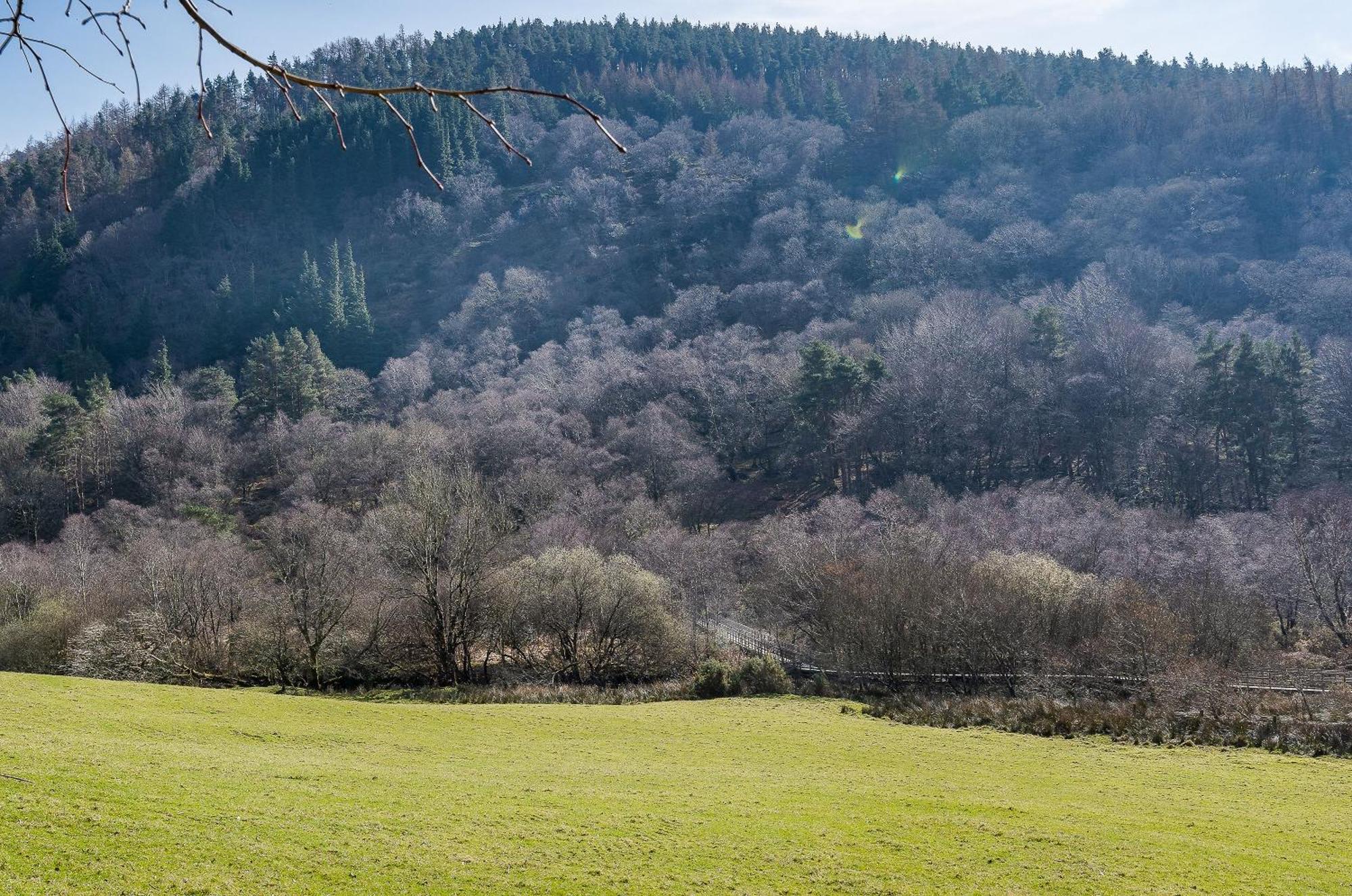 Glendalough International Youth Hostel Laragh Luaran gambar